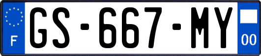 GS-667-MY