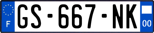 GS-667-NK