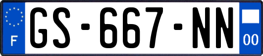 GS-667-NN