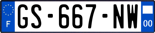 GS-667-NW