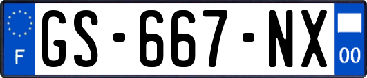 GS-667-NX