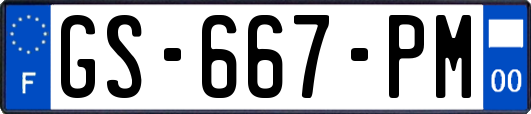 GS-667-PM