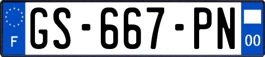 GS-667-PN