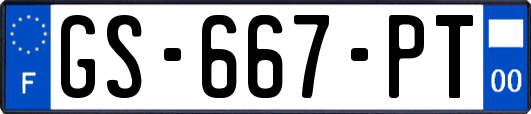 GS-667-PT