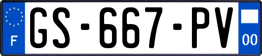 GS-667-PV