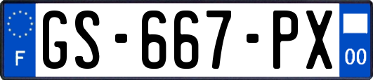 GS-667-PX