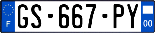 GS-667-PY
