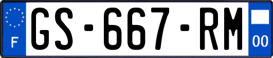 GS-667-RM