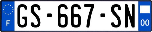 GS-667-SN