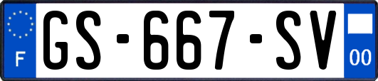 GS-667-SV