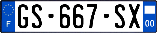 GS-667-SX