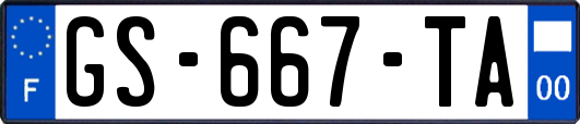 GS-667-TA