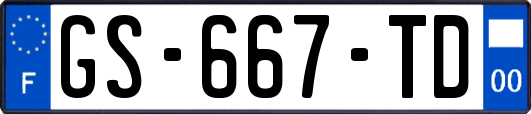 GS-667-TD