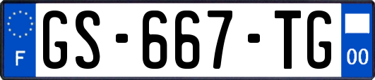 GS-667-TG