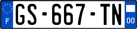 GS-667-TN