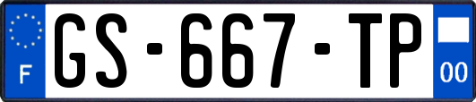 GS-667-TP