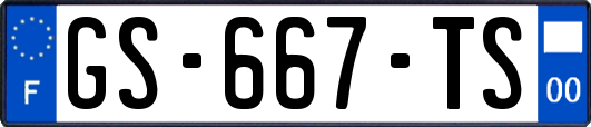 GS-667-TS
