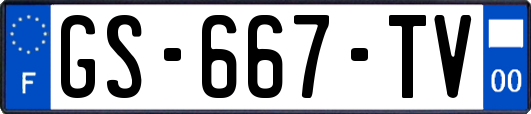 GS-667-TV