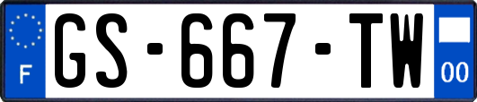 GS-667-TW