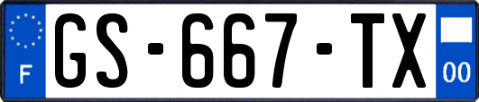 GS-667-TX