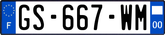 GS-667-WM