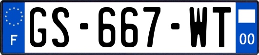 GS-667-WT