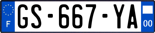 GS-667-YA