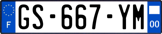 GS-667-YM