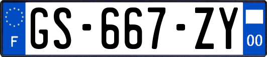 GS-667-ZY