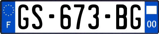 GS-673-BG