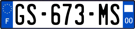 GS-673-MS
