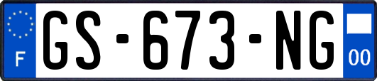 GS-673-NG