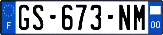 GS-673-NM