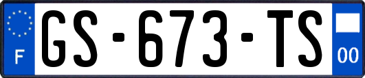 GS-673-TS