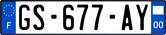 GS-677-AY