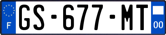 GS-677-MT