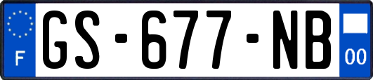 GS-677-NB