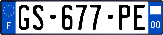 GS-677-PE