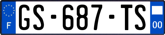 GS-687-TS