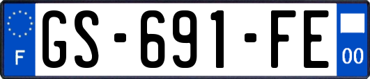 GS-691-FE