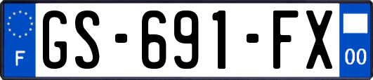 GS-691-FX