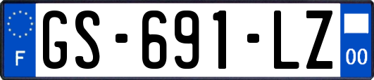 GS-691-LZ