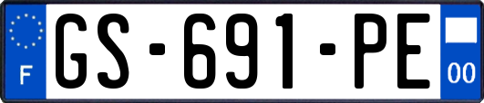GS-691-PE