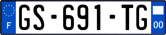 GS-691-TG