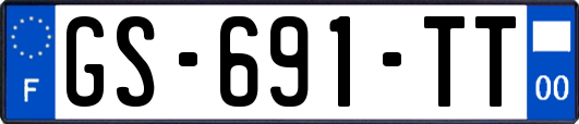 GS-691-TT