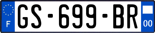 GS-699-BR