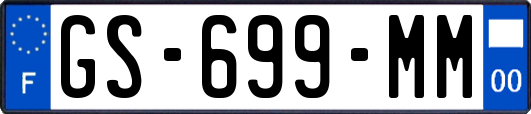 GS-699-MM