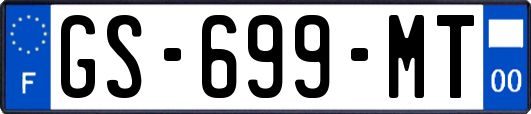 GS-699-MT