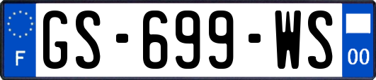 GS-699-WS