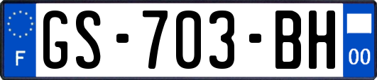 GS-703-BH